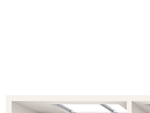 1 Bedroom + Den